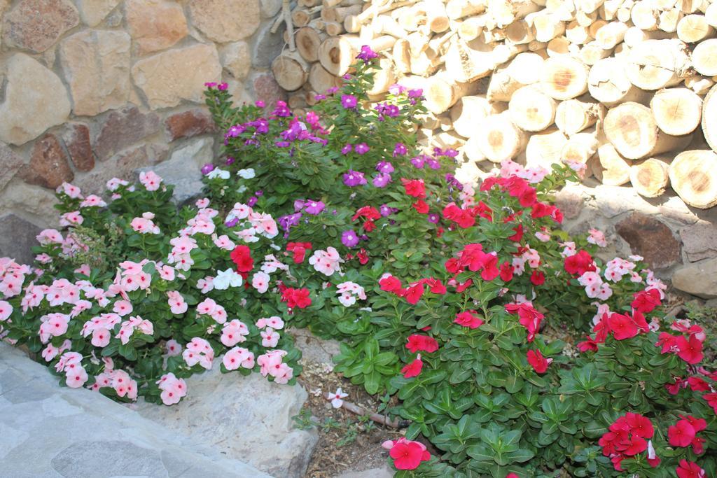 Modern&Quiet Place Eilat Luaran gambar